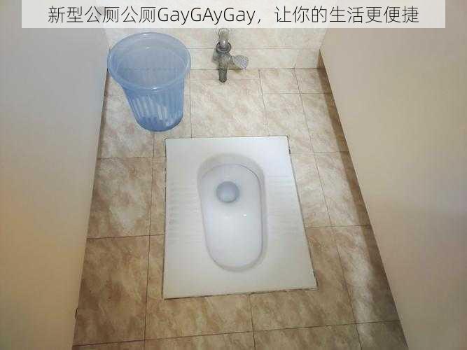 新型公厕公厕GayGAyGay，让你的生活更便捷