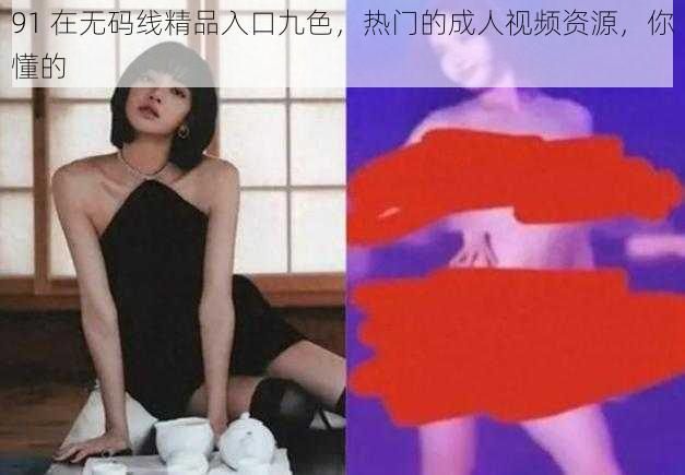 91 在无码线精品入口九色，热门的成人视频资源，你懂的