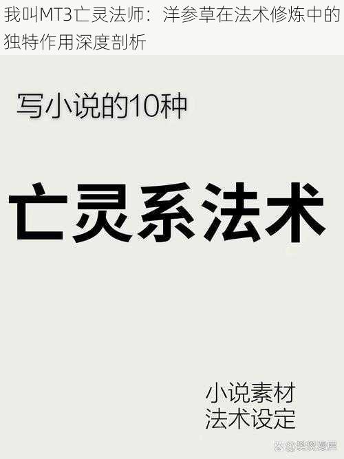 我叫MT3亡灵法师：洋参草在法术修炼中的独特作用深度剖析