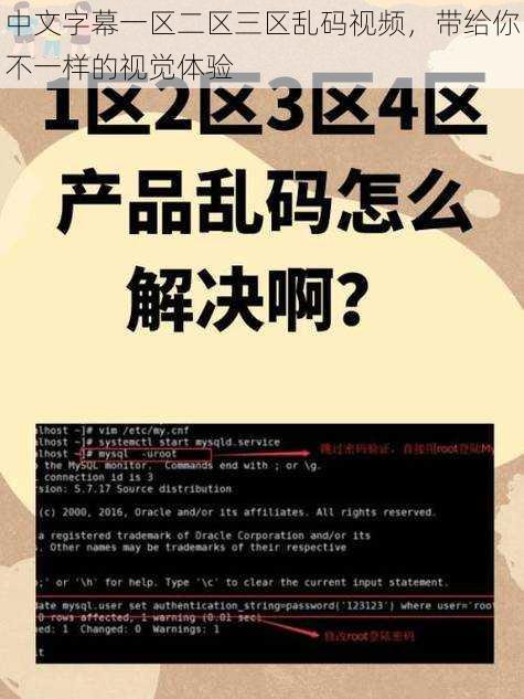 中文字幕一区二区三区乱码视频，带给你不一样的视觉体验