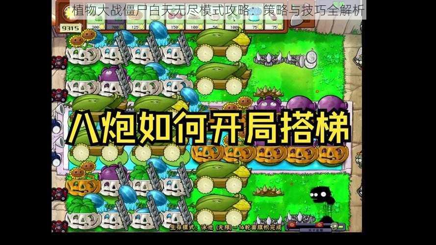 植物大战僵尸白天无尽模式攻略：策略与技巧全解析