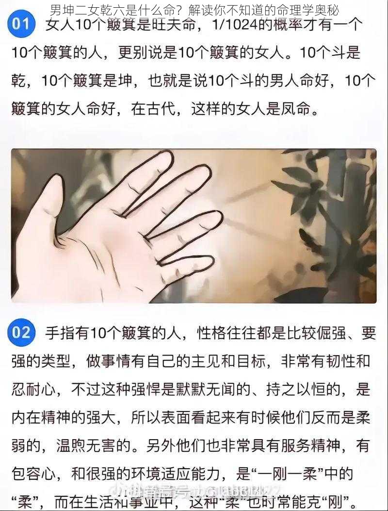 男坤二女乾六是什么命？解读你不知道的命理学奥秘