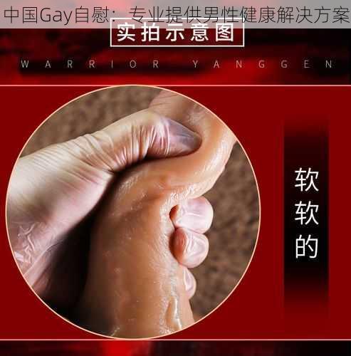 中国Gay自慰：专业提供男性健康解决方案