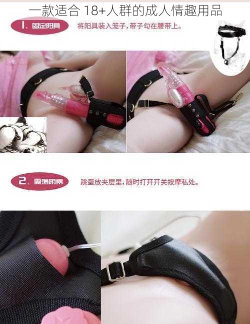 一款适合 18+人群的成人情趣用品