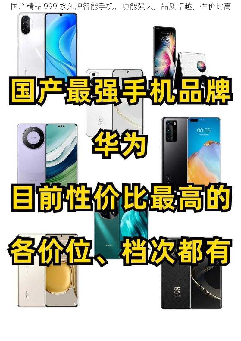 国产精品 999 永久牌智能手机，功能强大，品质卓越，性价比高