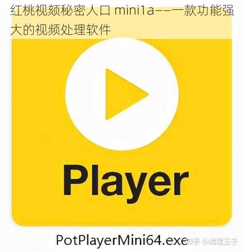 红桃视颏秘密人口 mini1a——一款功能强大的视频处理软件