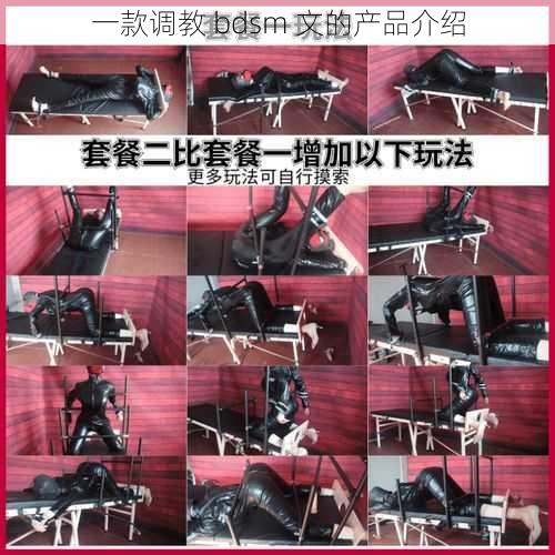 一款调教 bdsm 文的产品介绍