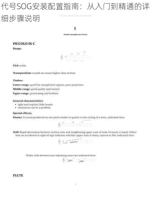 代号SOG安装配置指南：从入门到精通的详细步骤说明