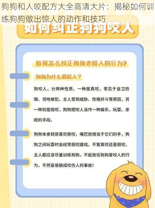 狗狗和人咬配方大全高清大片：揭秘如何训练狗狗做出惊人的动作和技巧