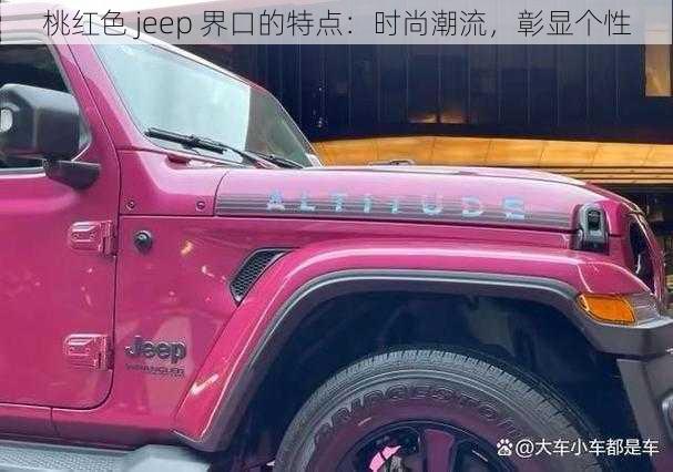 桃红色 jeep 界口的特点：时尚潮流，彰显个性