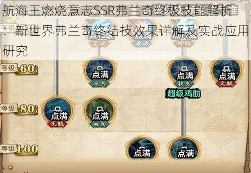 航海王燃烧意志SSR弗兰奇终极技能解析：新世界弗兰奇终结技效果详解及实战应用研究