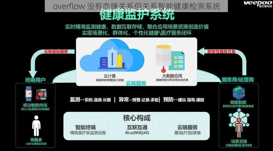 overflow 没有血缘关系但关系智能健康检测系统