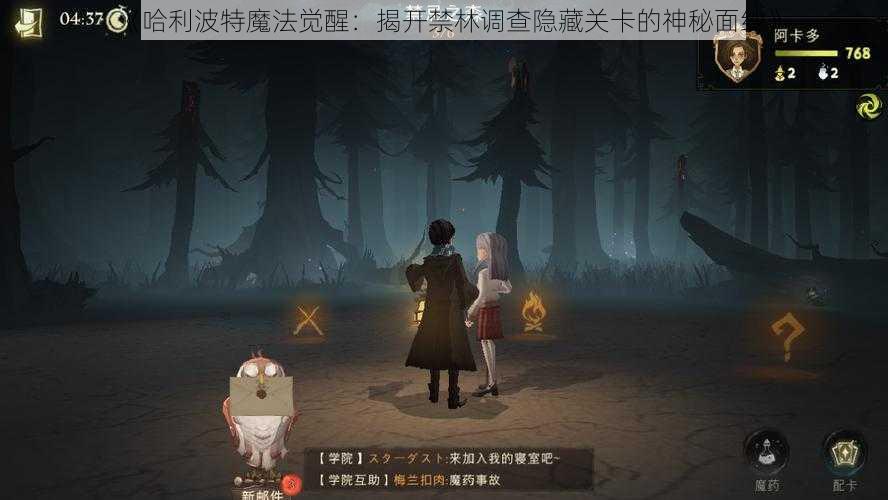 《哈利波特魔法觉醒：揭开禁林调查隐藏关卡的神秘面纱》