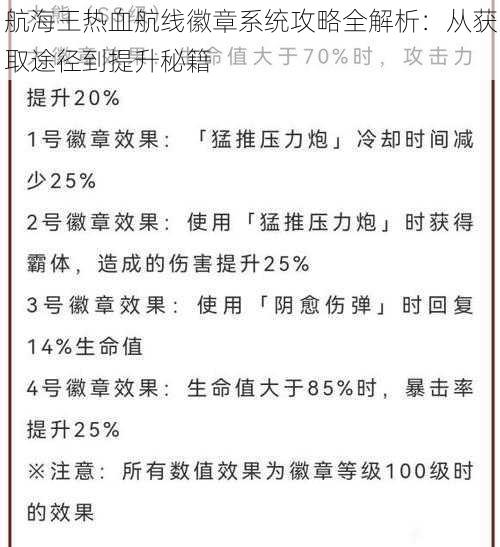 航海王热血航线徽章系统攻略全解析：从获取途径到提升秘籍