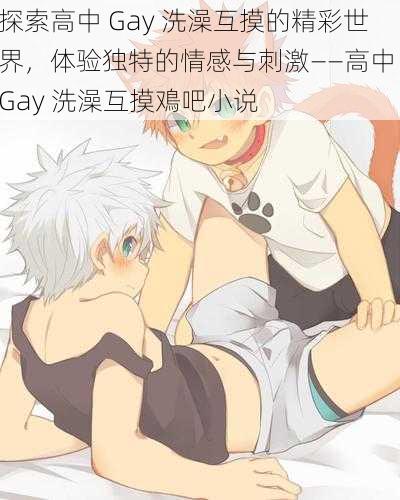 探索高中 Gay 洗澡互摸的精彩世界，体验独特的情感与刺激——高中 Gay 洗澡互摸鳮吧小说