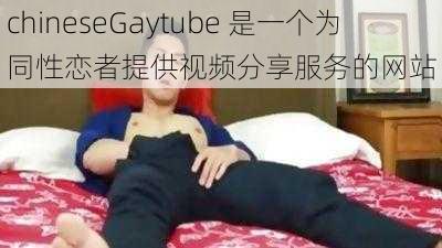 chineseGaytube 是一个为同性恋者提供视频分享服务的网站