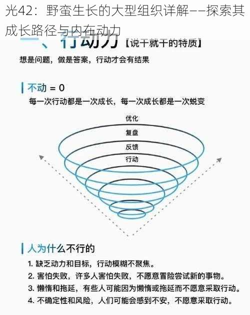 光42：野蛮生长的大型组织详解——探索其成长路径与内在动力