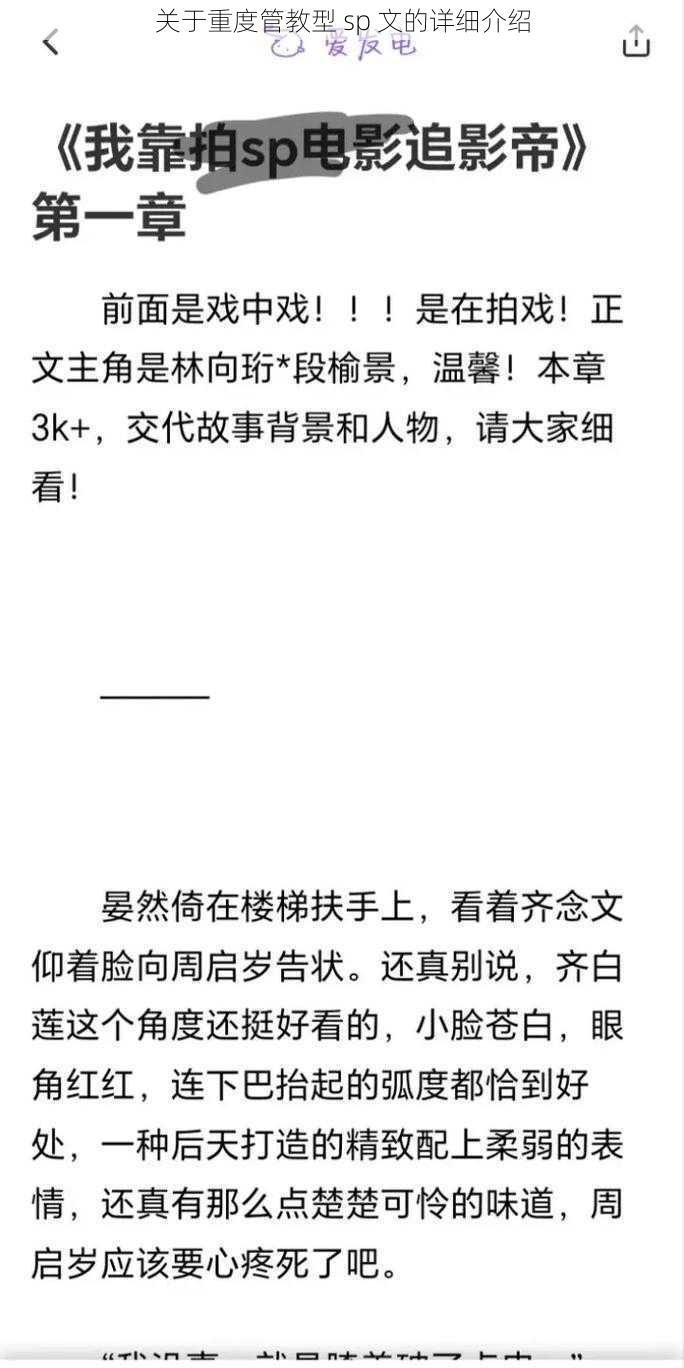 关于重度管教型 sp 文的详细介绍