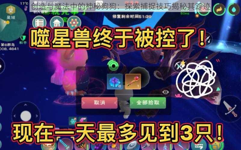 创造与魔法中的神秘狗狗：探索捕捉技巧揭秘其踪迹