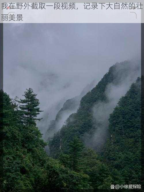 我在野外截取一段视频，记录下大自然的壮丽美景