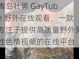 青岛壮男 GayTube 野外在线观看，一款专注于提供高质量野外男性色情视频的在线平台