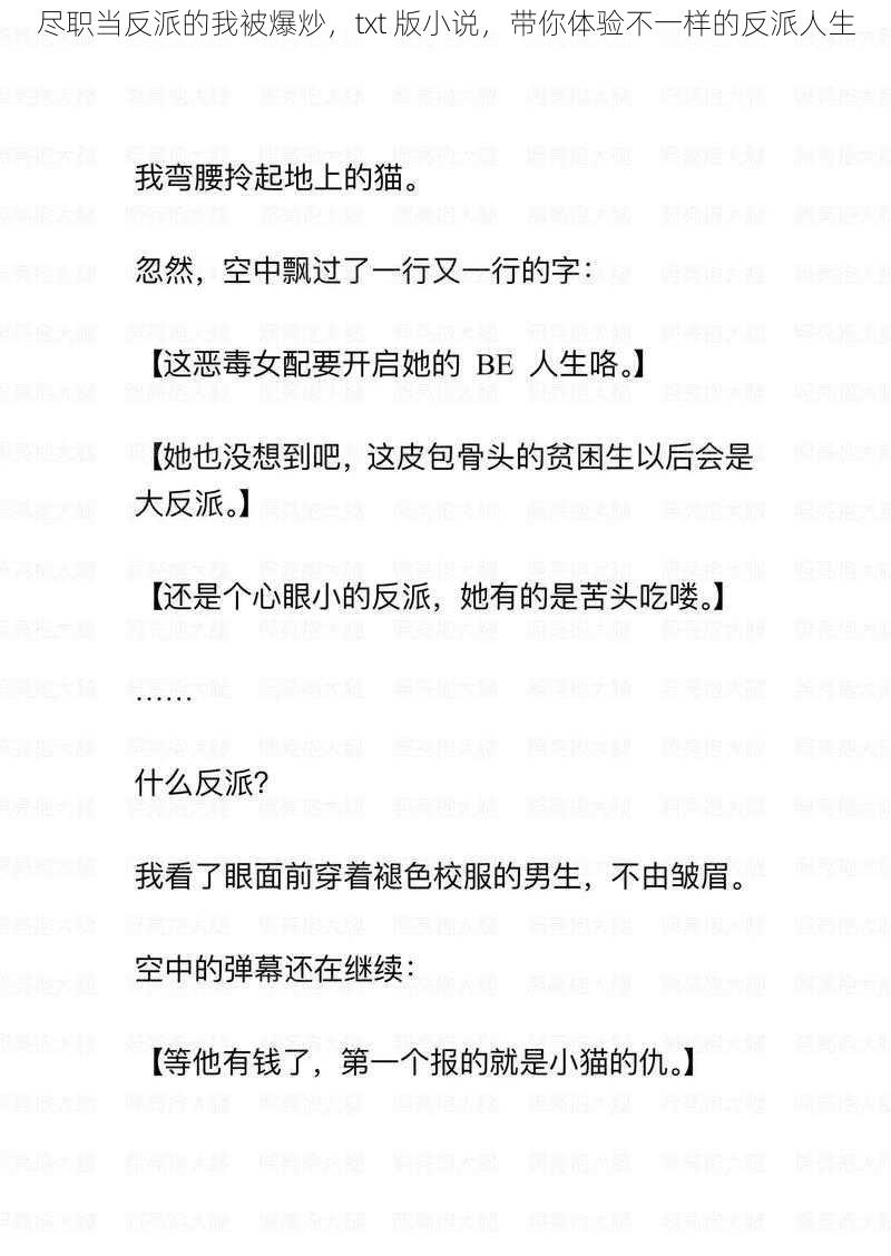 尽职当反派的我被爆炒，txt 版小说，带你体验不一样的反派人生