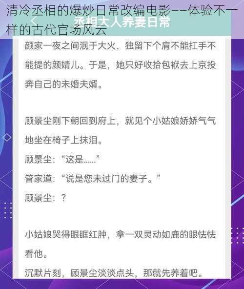 清冷丞相的爆炒日常改编电影——体验不一样的古代官场风云