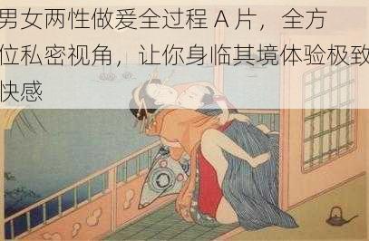 男女两性做爰全过程 A 片，全方位私密视角，让你身临其境体验极致快感