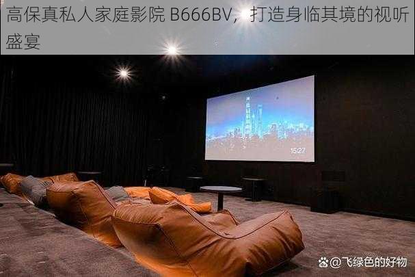 高保真私人家庭影院 B666BV，打造身临其境的视听盛宴