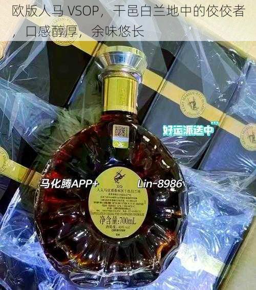 欧版人马 VSOP，干邑白兰地中的佼佼者，口感醇厚，余味悠长