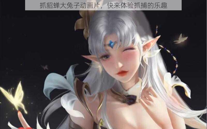 抓貂蝉大兔子动画片，快来体验抓捕的乐趣