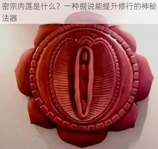 密宗肉莲是什么？一种据说能提升修行的神秘法器