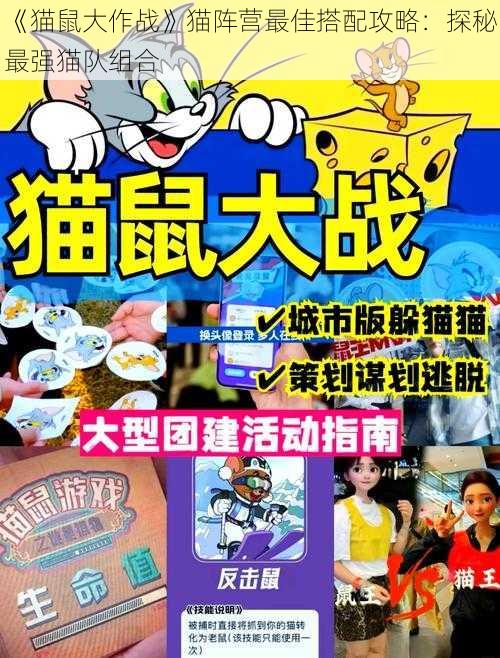 《猫鼠大作战》猫阵营最佳搭配攻略：探秘最强猫队组合