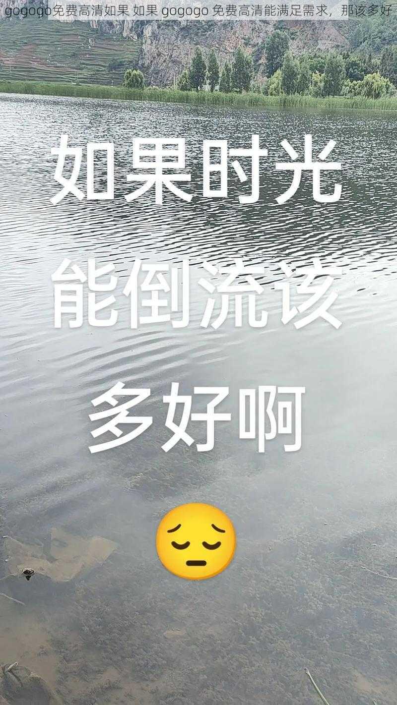 gogogo免费高清如果 如果 gogogo 免费高清能满足需求，那该多好