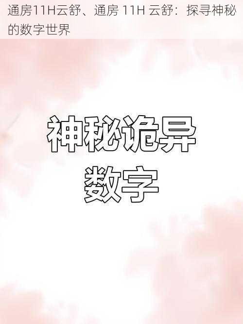 通房11H云舒、通房 11H 云舒：探寻神秘的数字世界