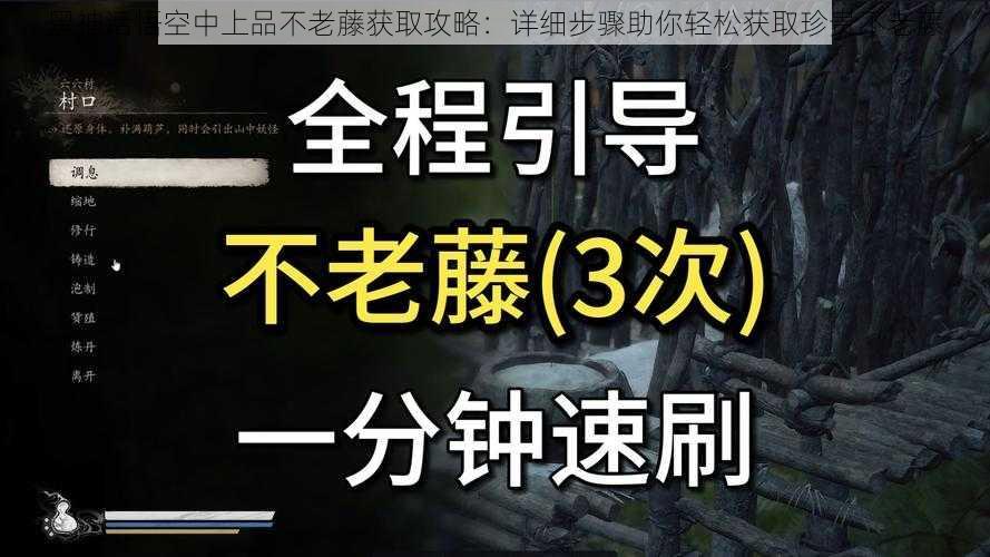 黑神话悟空中上品不老藤获取攻略：详细步骤助你轻松获取珍贵不老藤