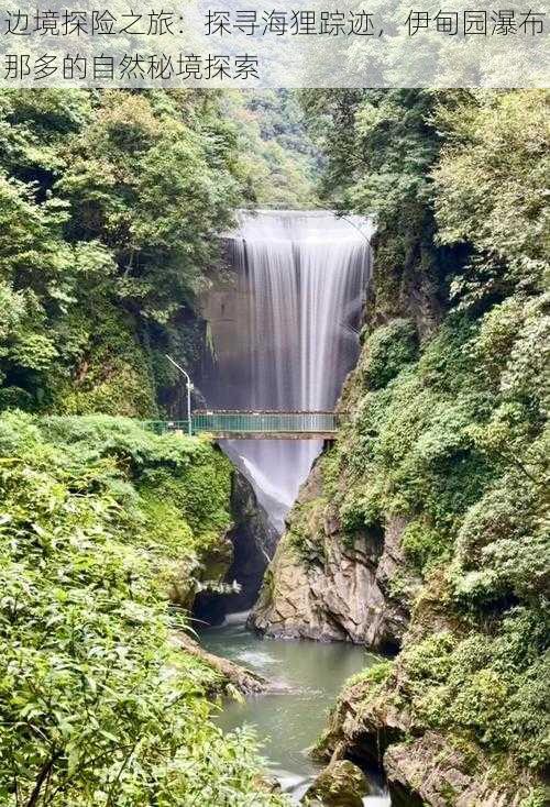 边境探险之旅：探寻海狸踪迹，伊甸园瀑布那多的自然秘境探索