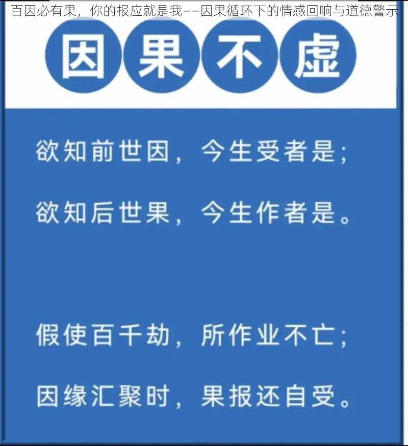 百因必有果，你的报应就是我——因果循环下的情感回响与道德警示