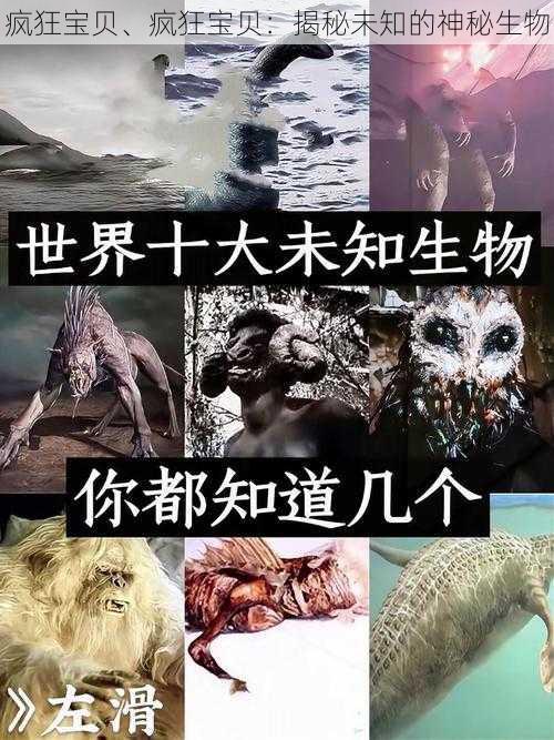 疯狂宝贝、疯狂宝贝：揭秘未知的神秘生物