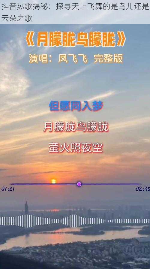 抖音热歌揭秘：探寻天上飞舞的是鸟儿还是云朵之歌