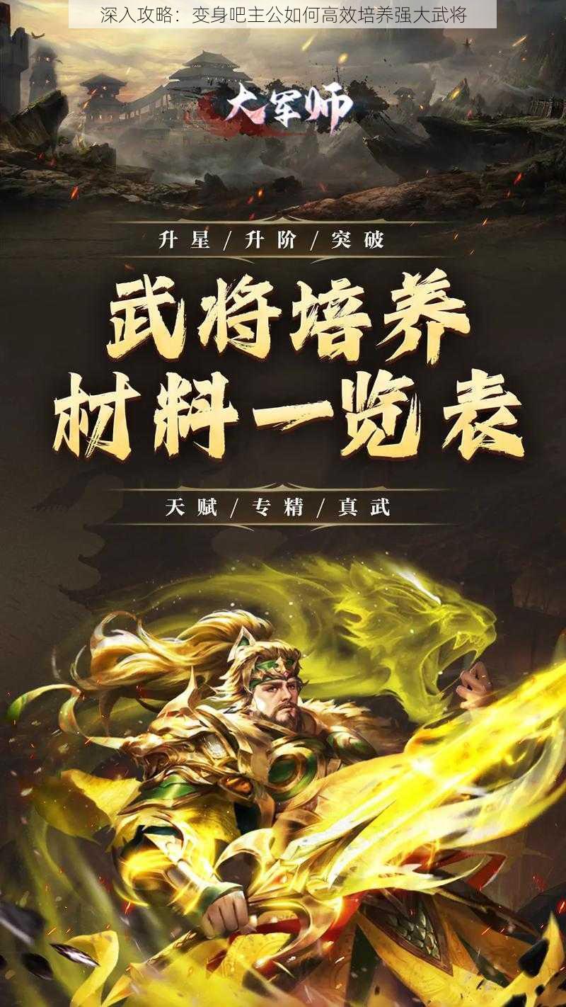 深入攻略：变身吧主公如何高效培养强大武将