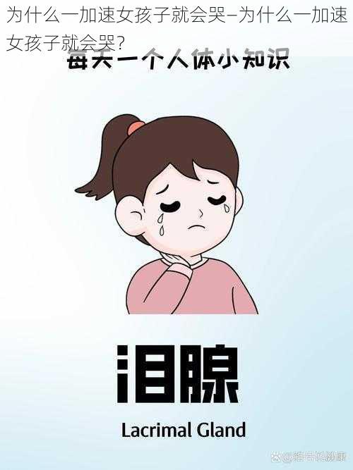 为什么一加速女孩子就会哭—为什么一加速女孩子就会哭？