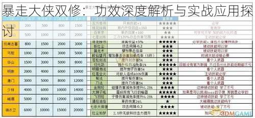 暴走大侠双修：功效深度解析与实战应用探讨