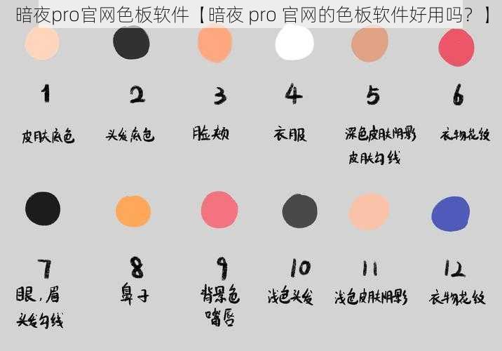 暗夜pro官网色板软件【暗夜 pro 官网的色板软件好用吗？】