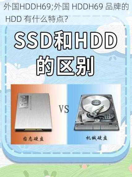 外国HDDH69;外国 HDDH69 品牌的 HDD 有什么特点？