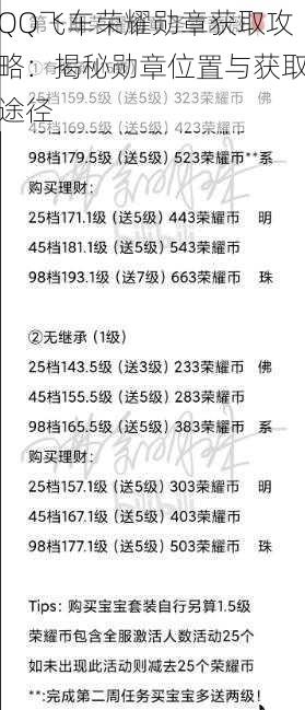 QQ飞车荣耀勋章获取攻略：揭秘勋章位置与获取途径