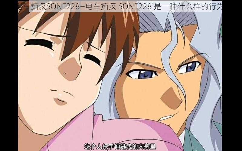 电车痴汉SONE228—电车痴汉 SONE228 是一种什么样的行为？