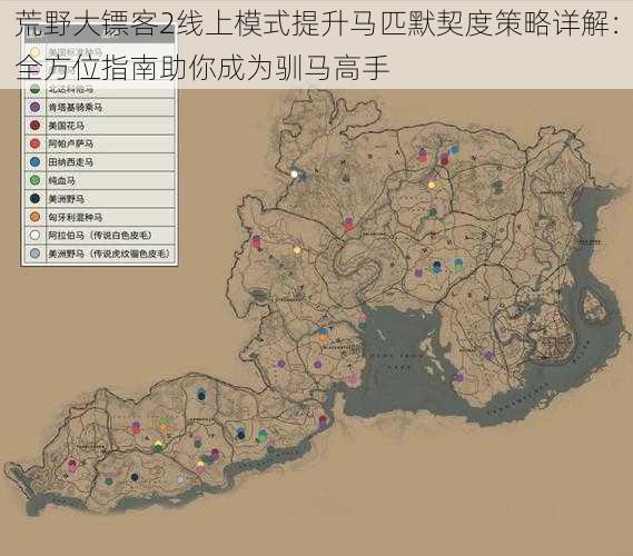 荒野大镖客2线上模式提升马匹默契度策略详解：全方位指南助你成为驯马高手