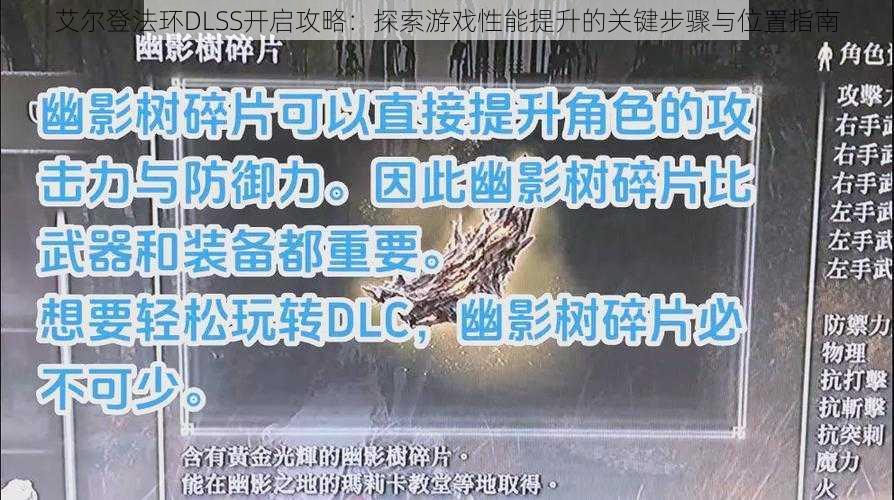 艾尔登法环DLSS开启攻略：探索游戏性能提升的关键步骤与位置指南