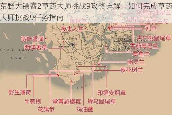 荒野大镖客2草药大师挑战9攻略详解：如何完成草药大师挑战9任务指南